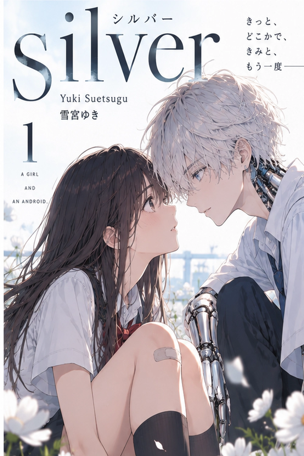 Silver cover